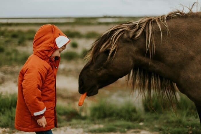 A child in a bright orange hooded coat offers a carrot to a dark brown horse, capturing a tender interaction between a young human and an animal in a rustic outdoor setting.