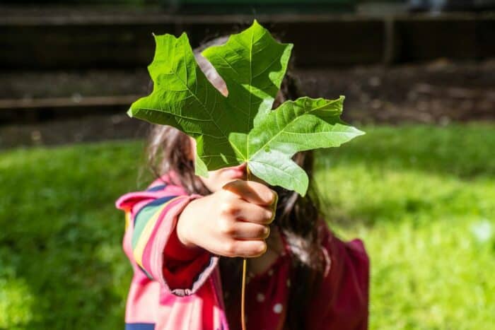A child in a colorful striped hoodie holds a large green leaf up to the camera, obscuring their face, exemplifying curiosity and a connection with nature, symbolic of an environmentally aware youth.